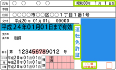 運転免許証サンプル
